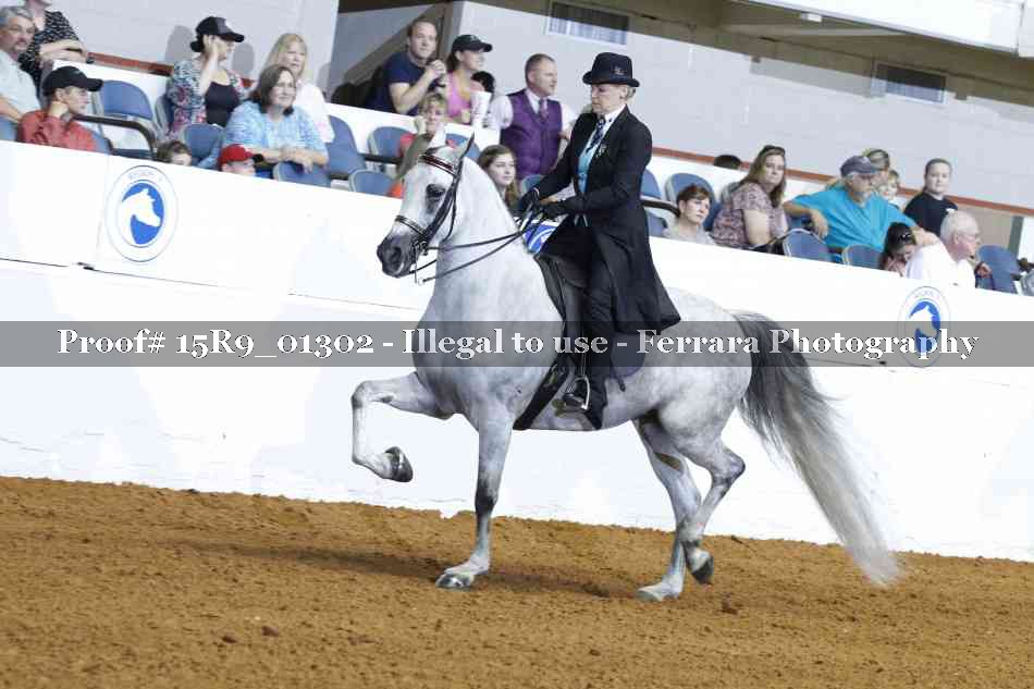 Proof Number 15R9_01302
