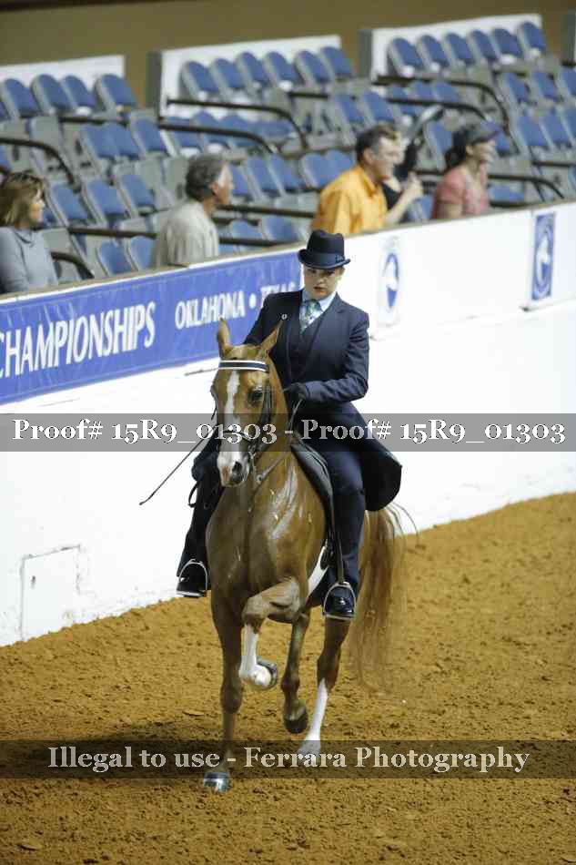 Proof Number 15R9_01303