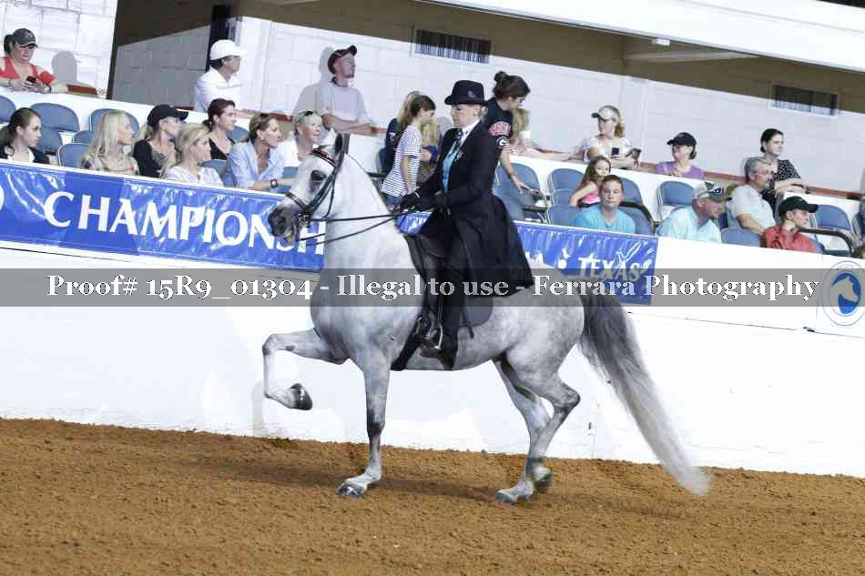 Proof Number 15R9_01304