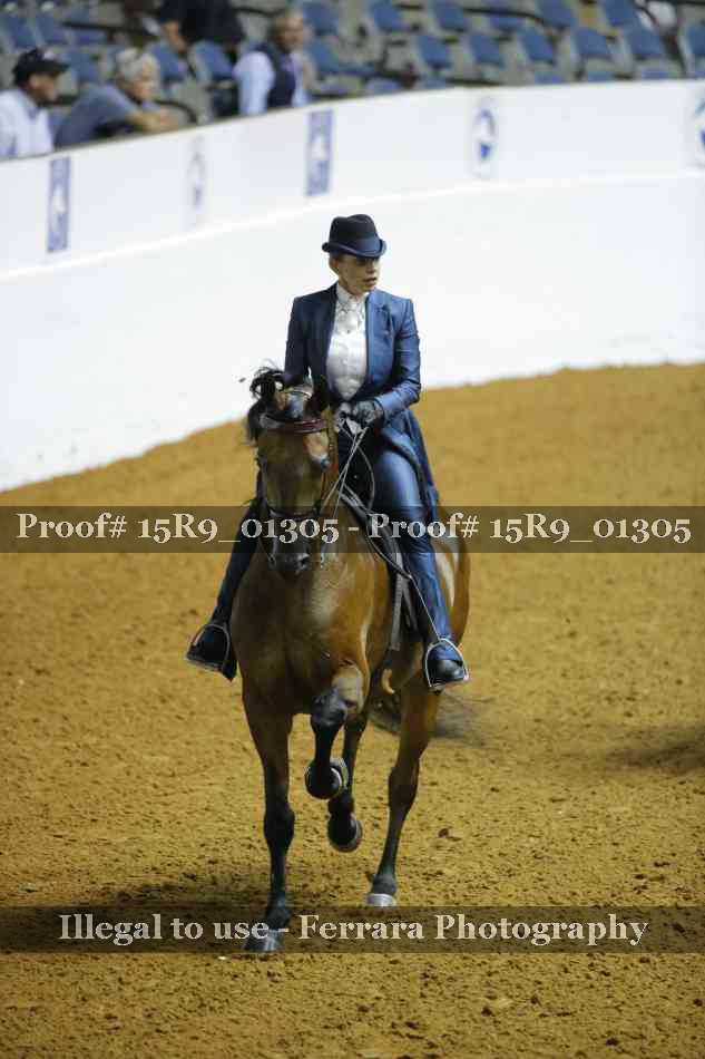 Proof Number 15R9_01305