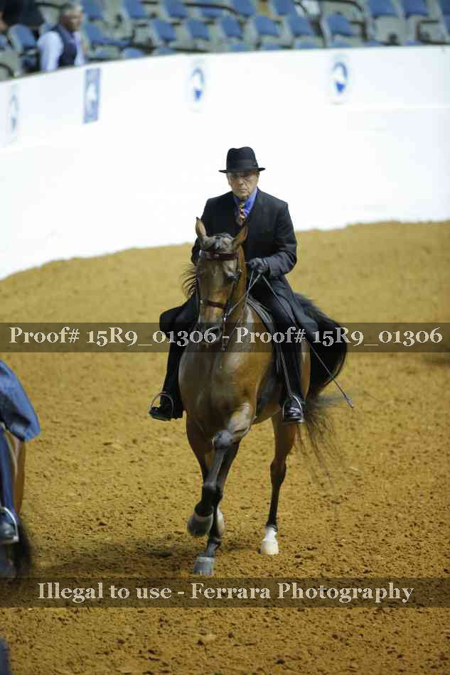 Proof Number 15R9_01306