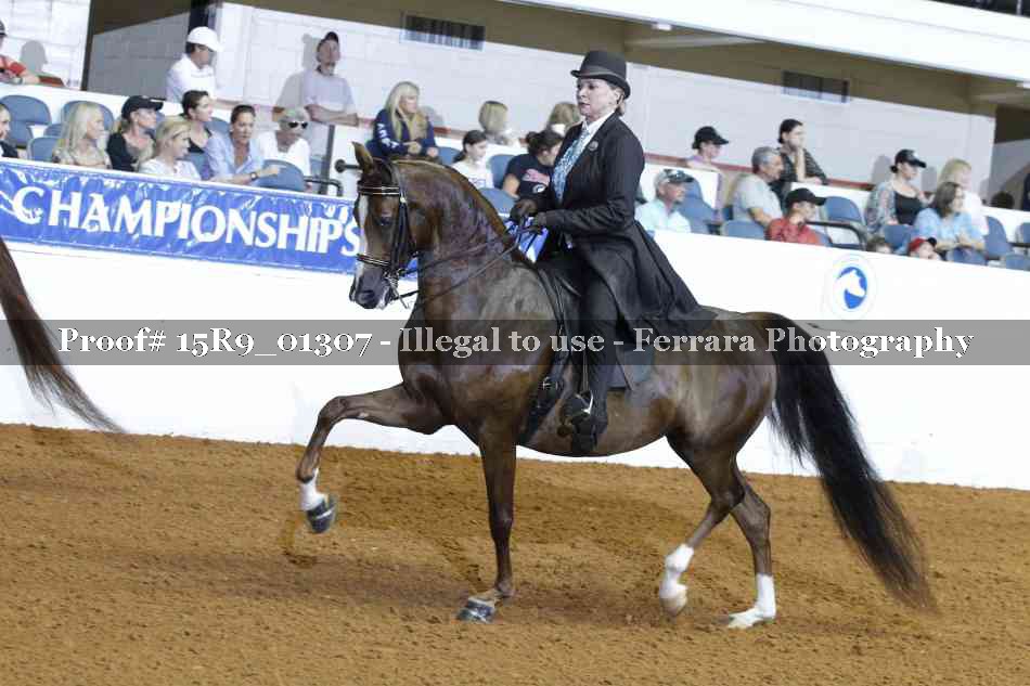 Proof Number 15R9_01307