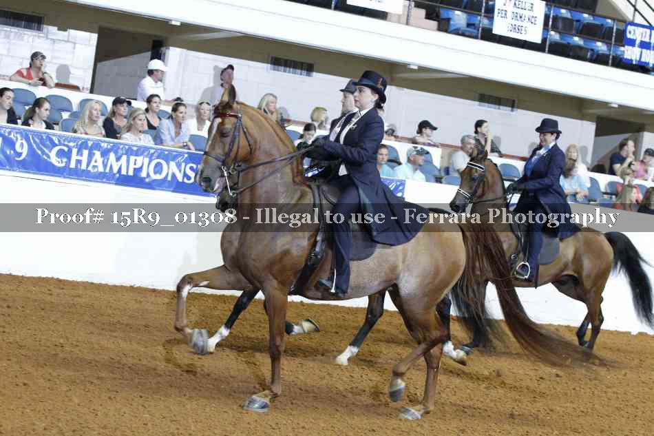 Proof Number 15R9_01308