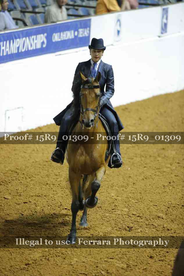 Proof Number 15R9_01309