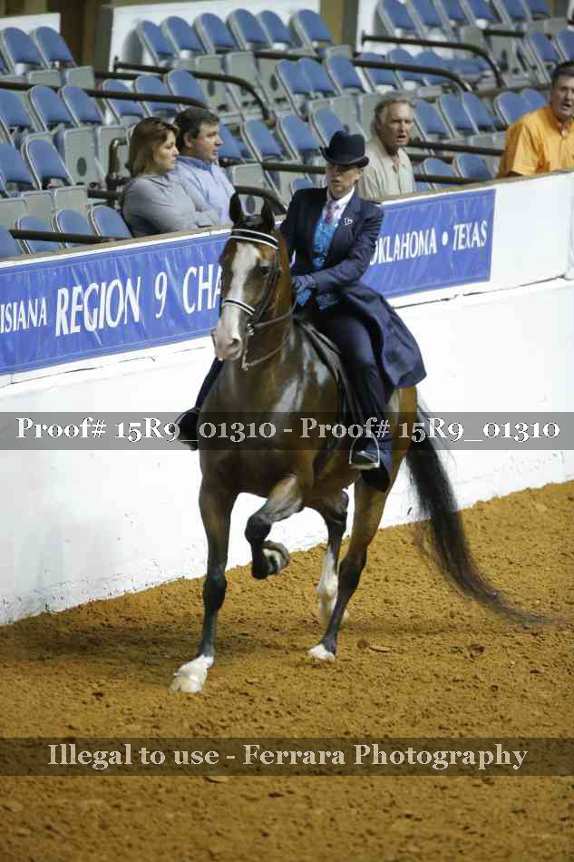 Proof Number 15R9_01310