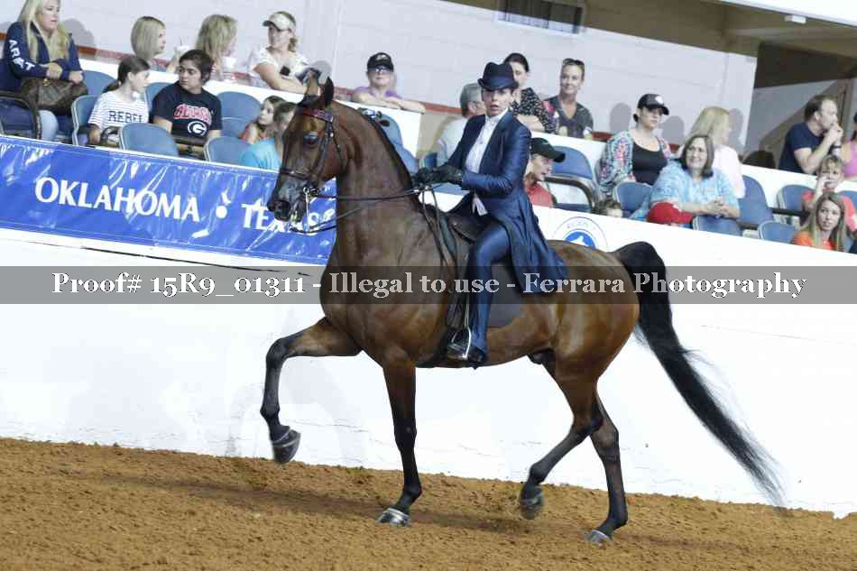 Proof Number 15R9_01311