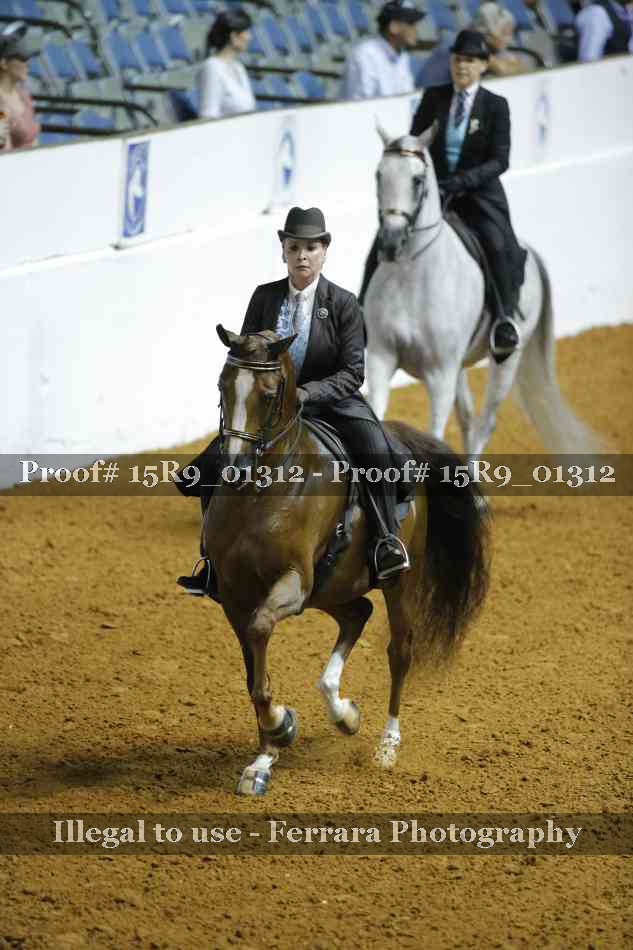 Proof Number 15R9_01312