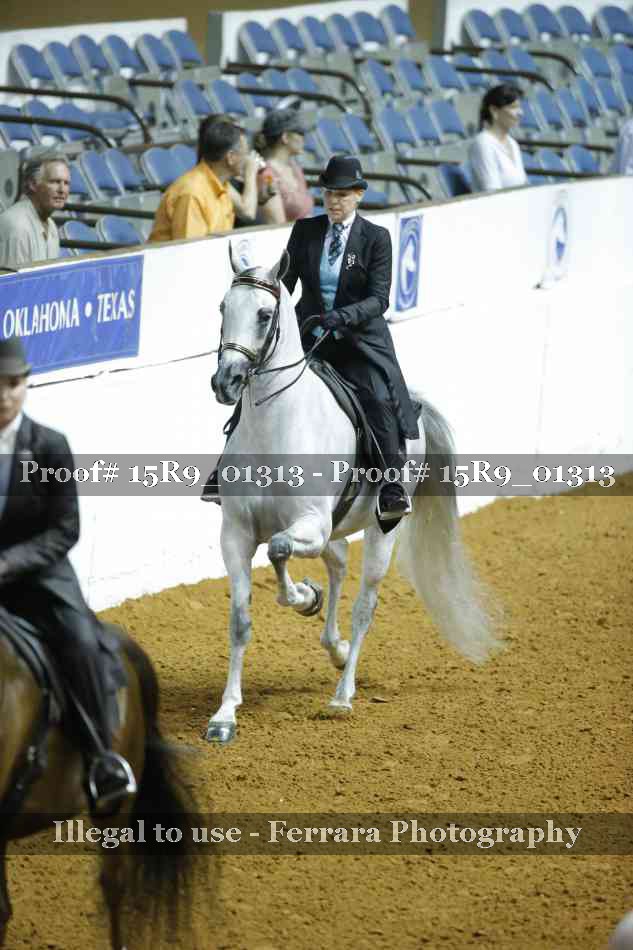 Proof Number 15R9_01313