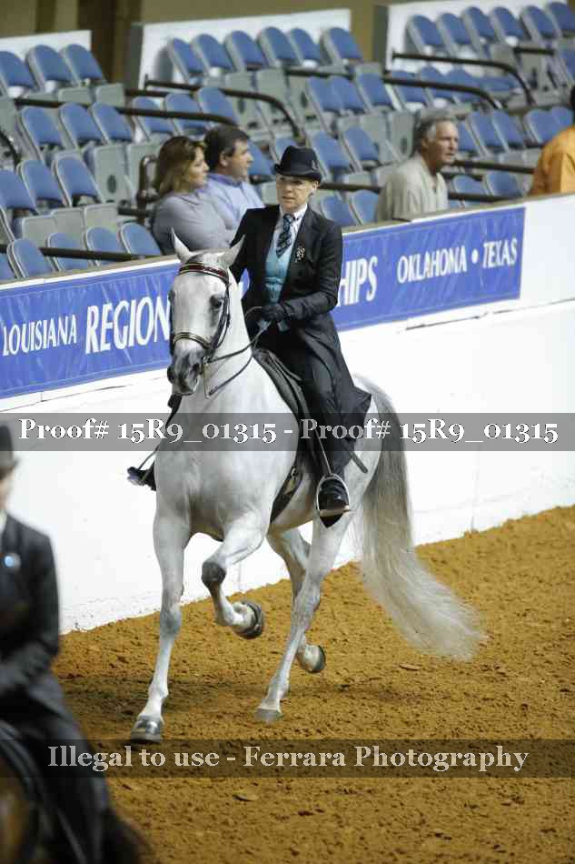 Proof Number 15R9_01315