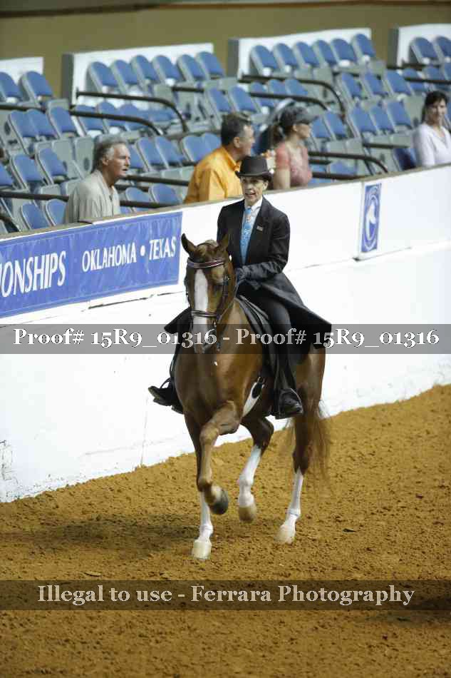 Proof Number 15R9_01316