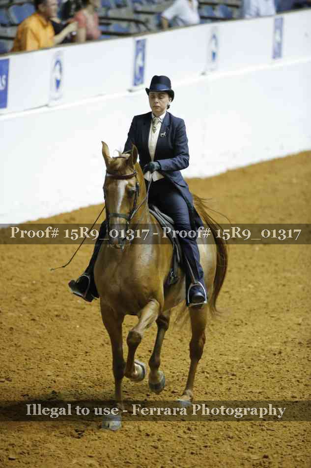 Proof Number 15R9_01317
