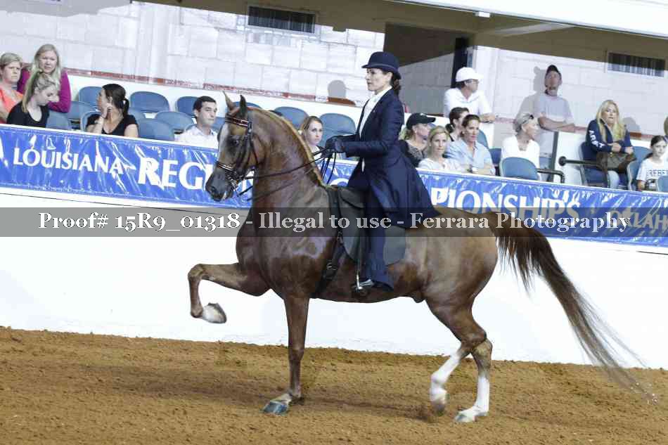 Proof Number 15R9_01318