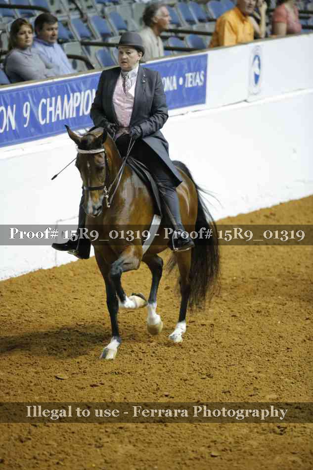 Proof Number 15R9_01319