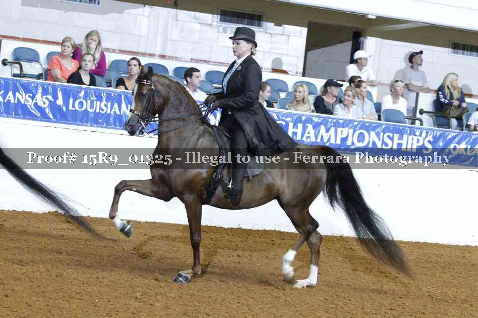 Proof Number 15R9_01325