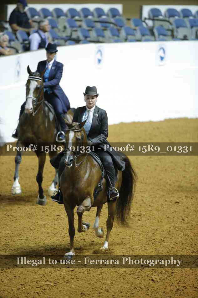 Proof Number 15R9_01331