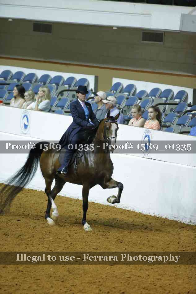 Proof Number 15R9_01335