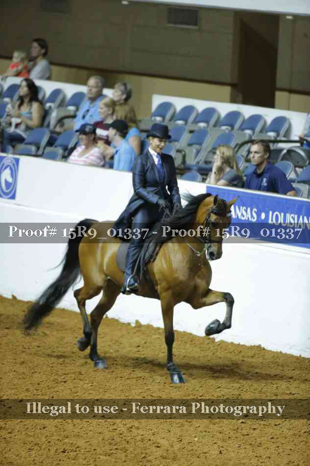 Proof Number 15R9_01337