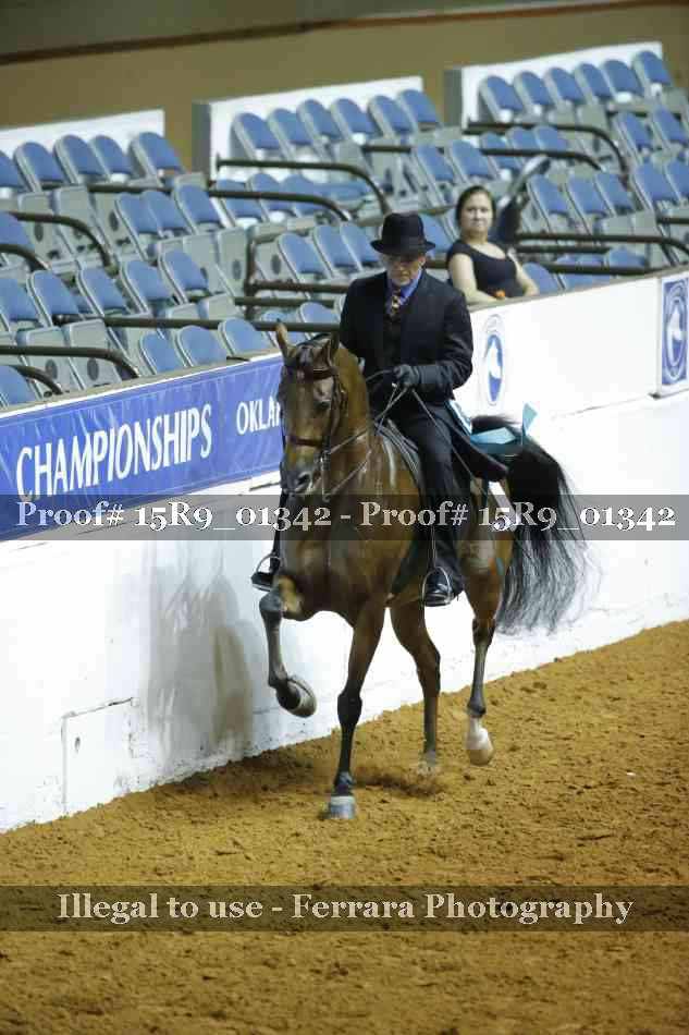 Proof Number 15R9_01342