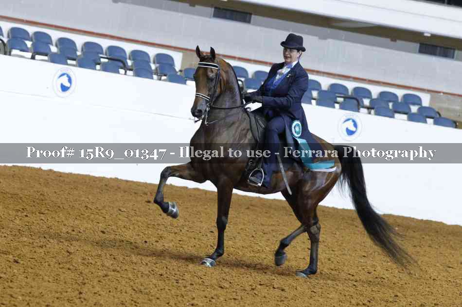 Proof Number 15R9_01347