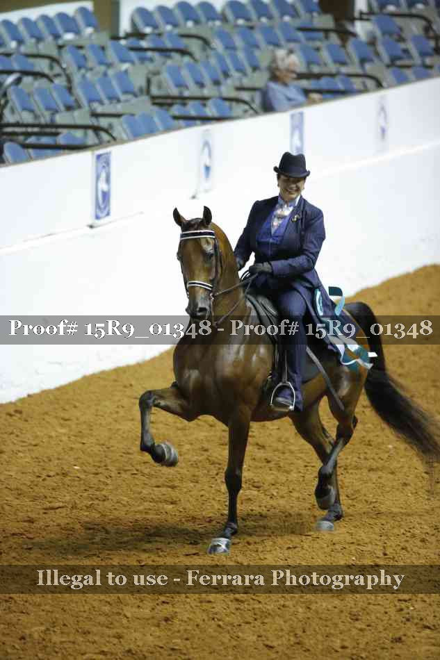 Proof Number 15R9_01348