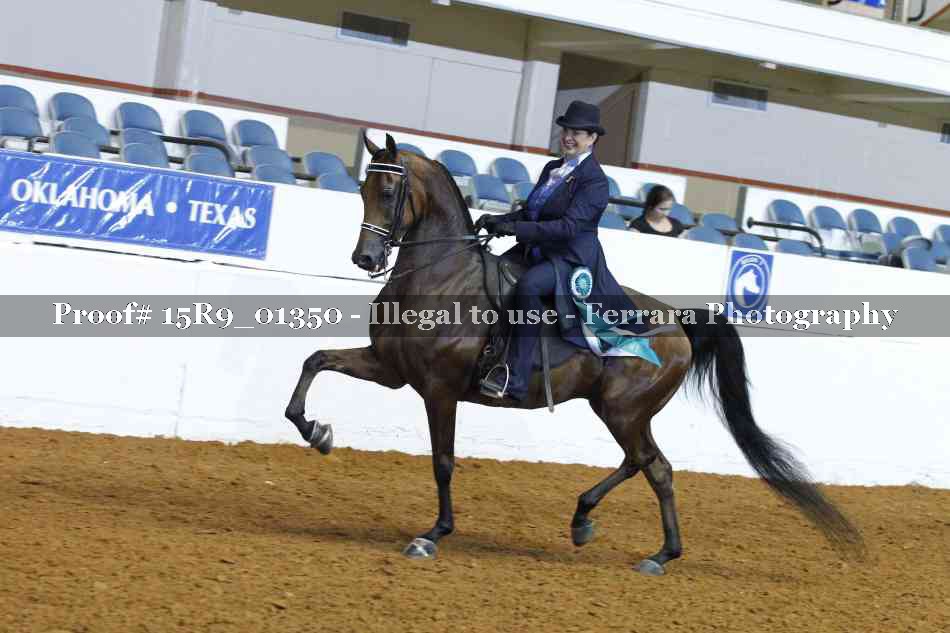Proof Number 15R9_01350