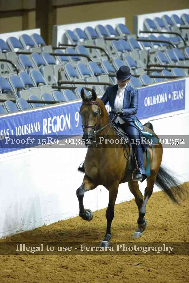 Proof Number 15R9_01352