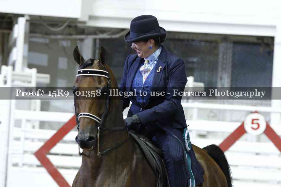 Proof Number 15R9_01358
