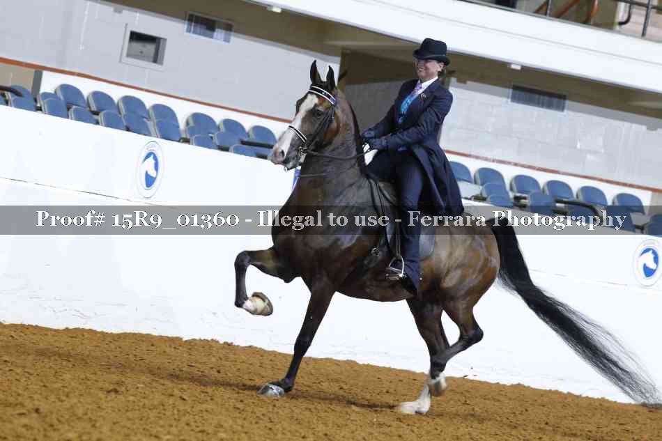 Proof Number 15R9_01360