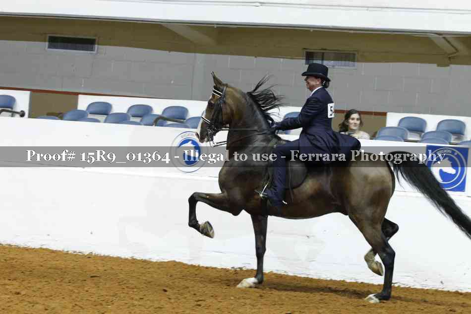 Proof Number 15R9_01364