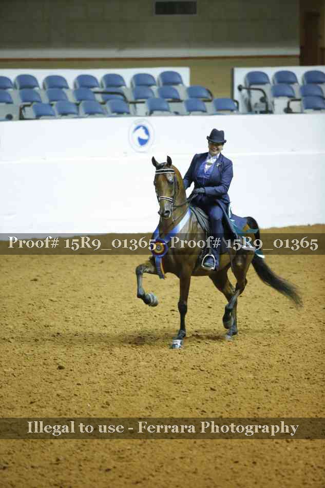 Proof Number 15R9_01365