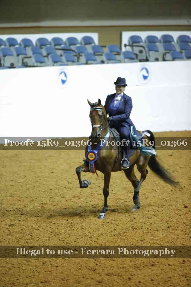 Proof Number 15R9_01366