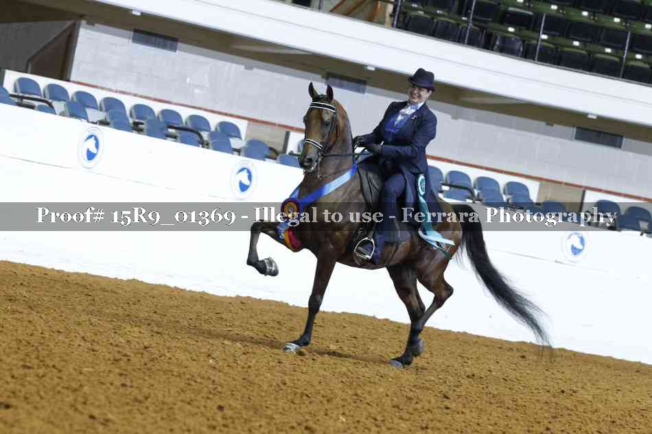 Proof Number 15R9_01369