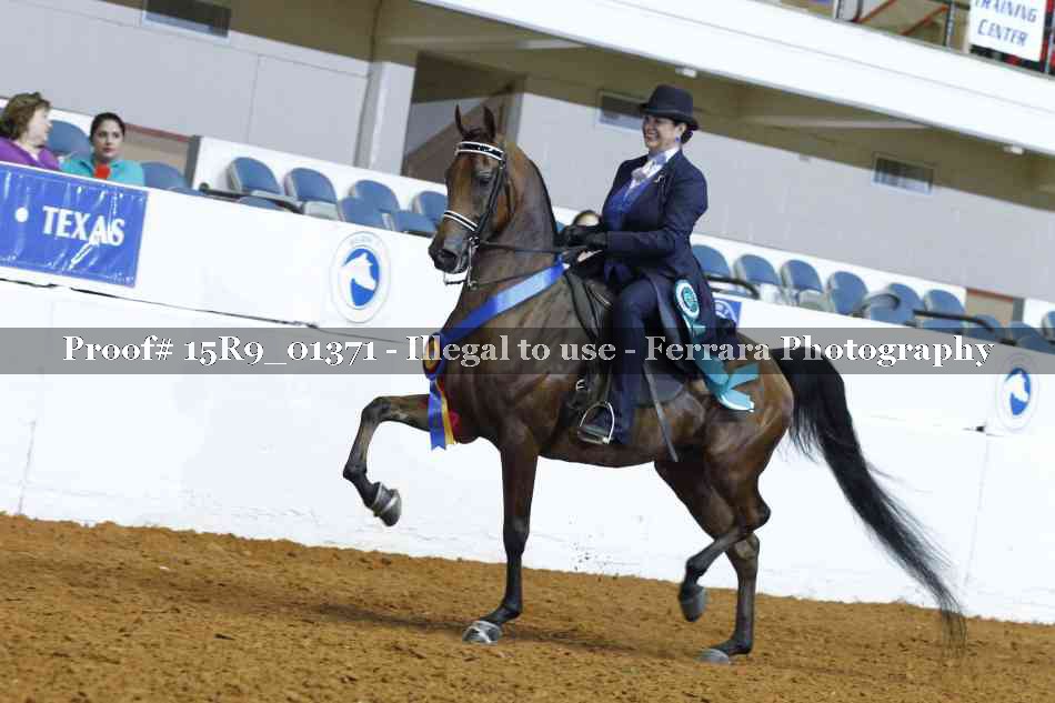 Proof Number 15R9_01371