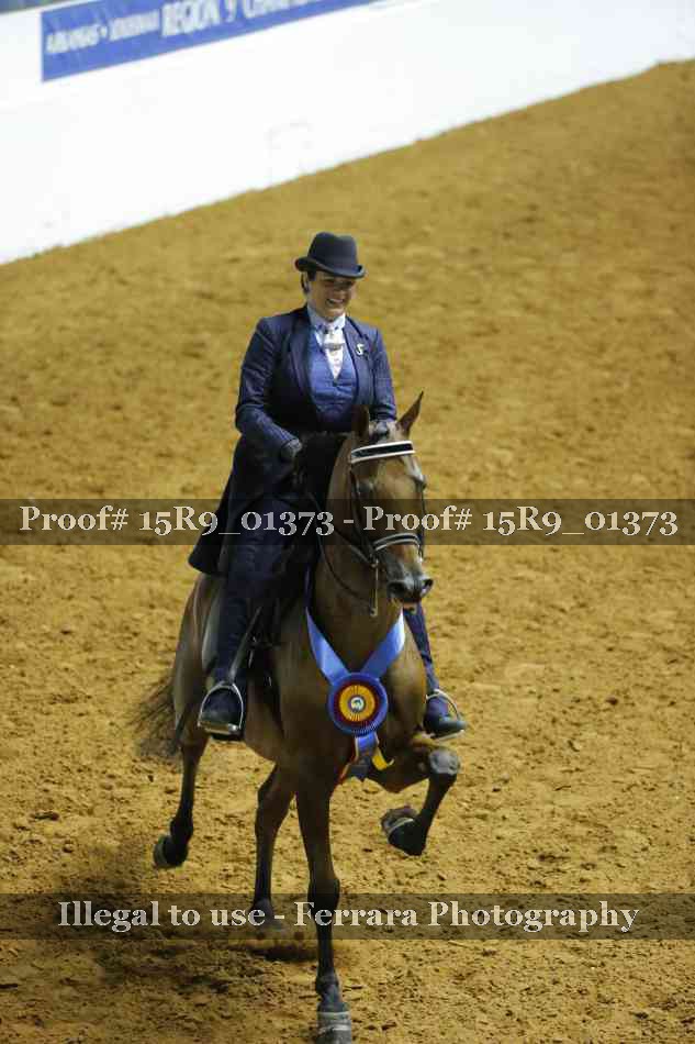 Proof Number 15R9_01373
