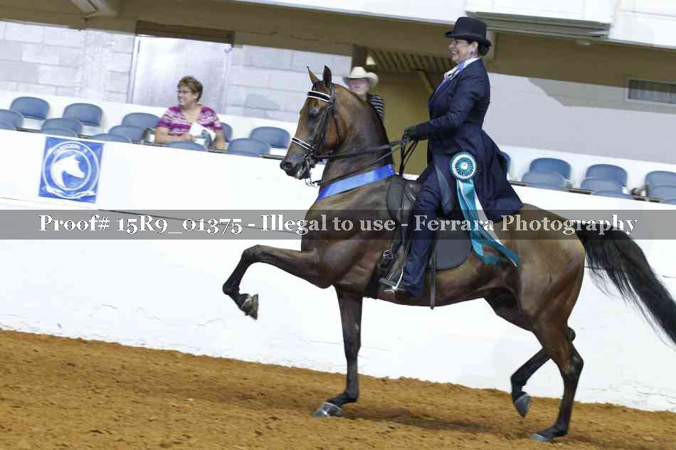 Proof Number 15R9_01375