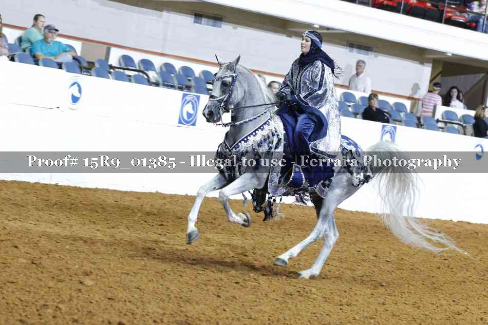 Proof Number 15R9_01385
