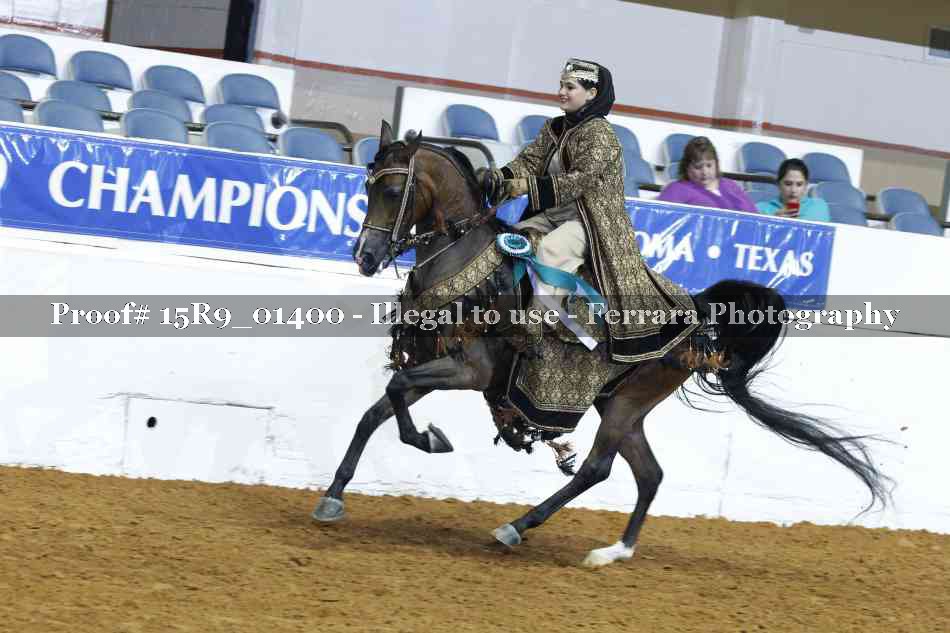 Proof Number 15R9_01400