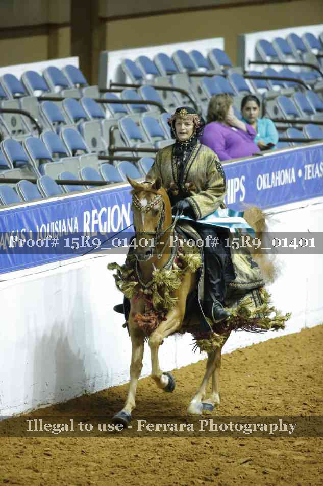 Proof Number 15R9_01401