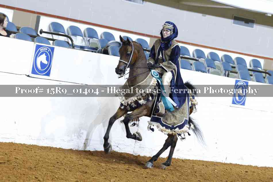 Proof Number 15R9_01404