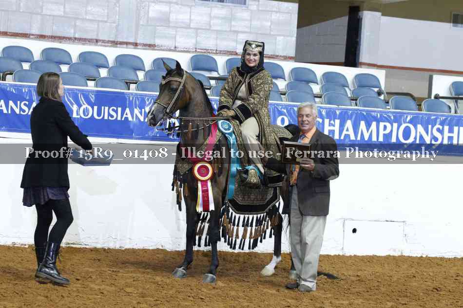 Proof Number 15R9_01408
