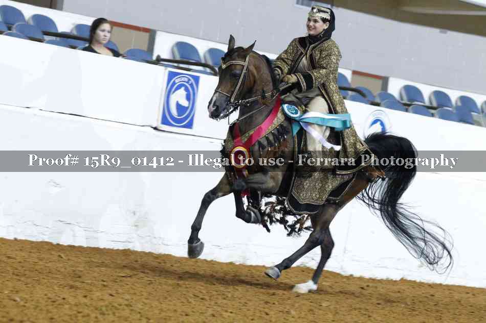 Proof Number 15R9_01412
