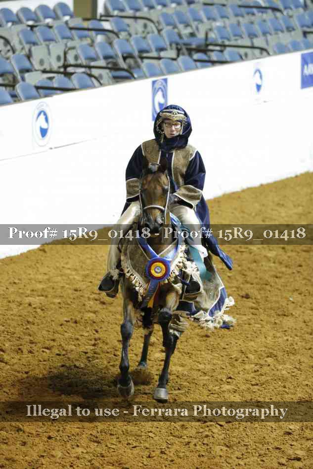 Proof Number 15R9_01418