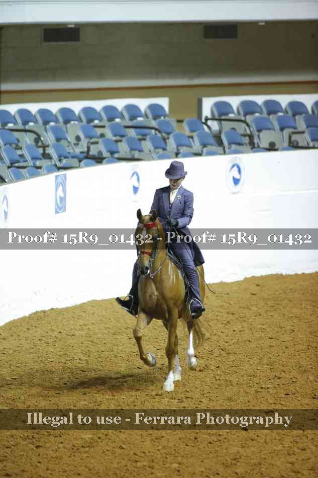 Proof Number 15R9_01432