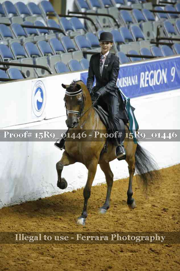 Proof Number 15R9_01446