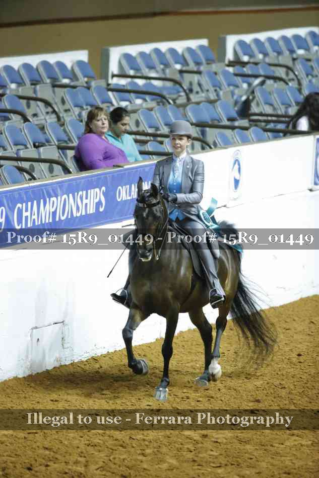 Proof Number 15R9_01449