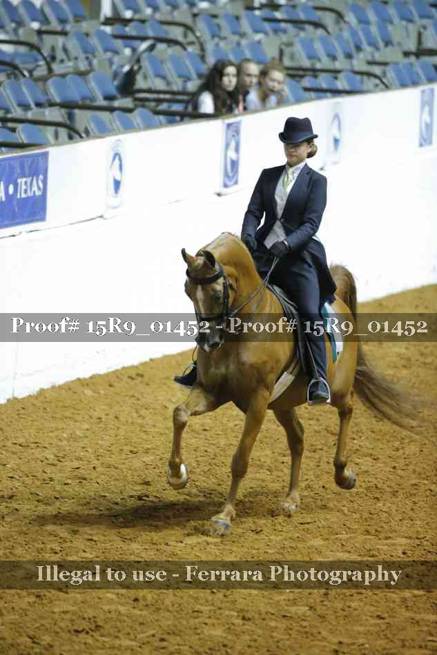 Proof Number 15R9_01452