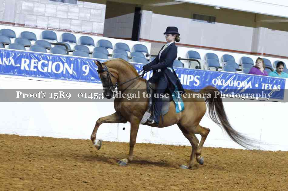 Proof Number 15R9_01453