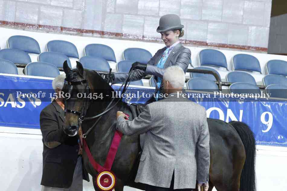 Proof Number 15R9_01454