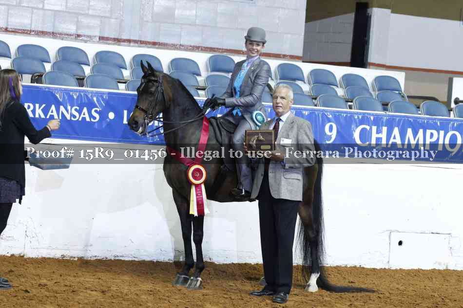 Proof Number 15R9_01456