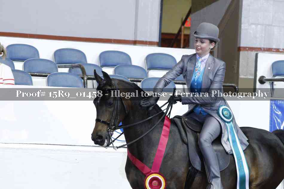 Proof Number 15R9_01458